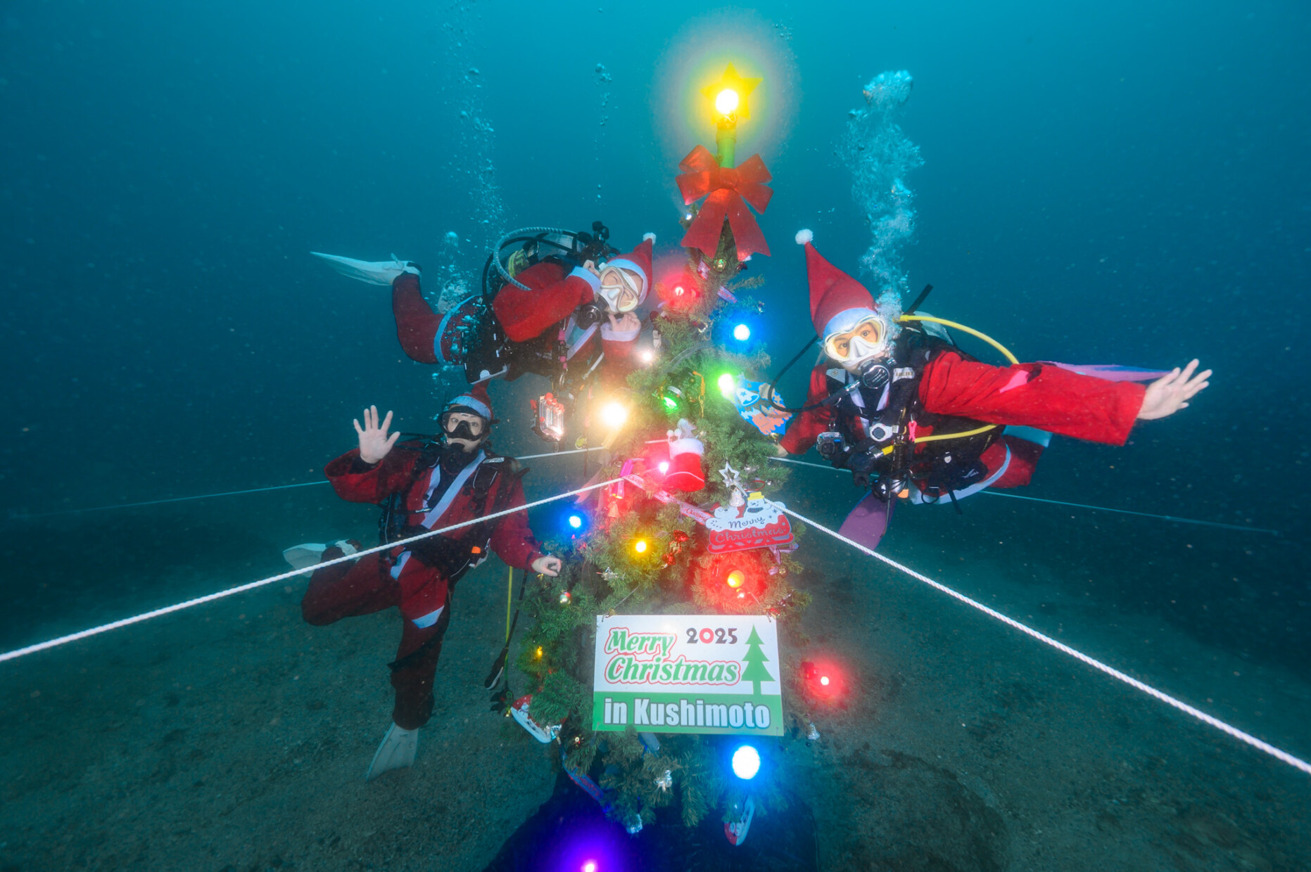水中クリスマスツリー設置完了❗️🌲 | ARK Diving Shop 串本店